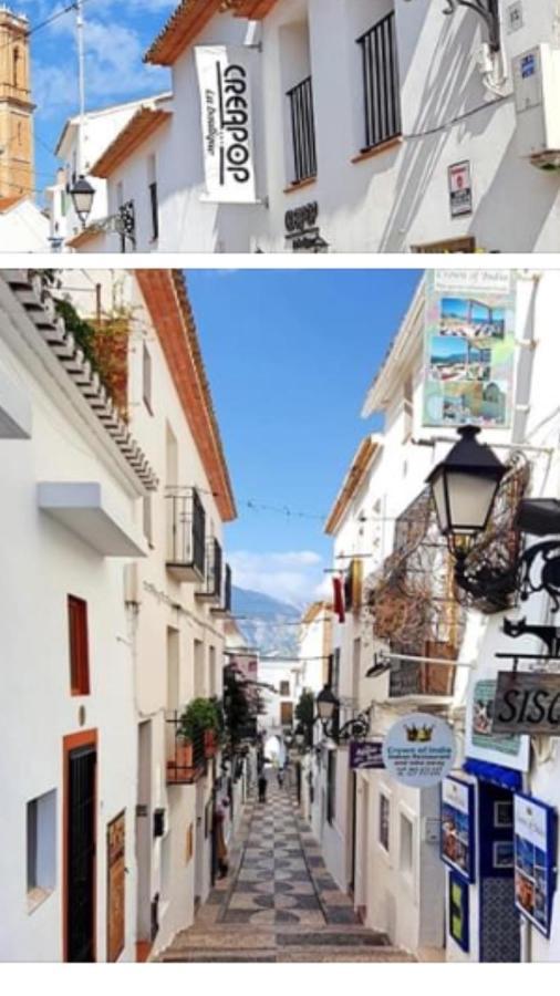 Salamandra * Altea